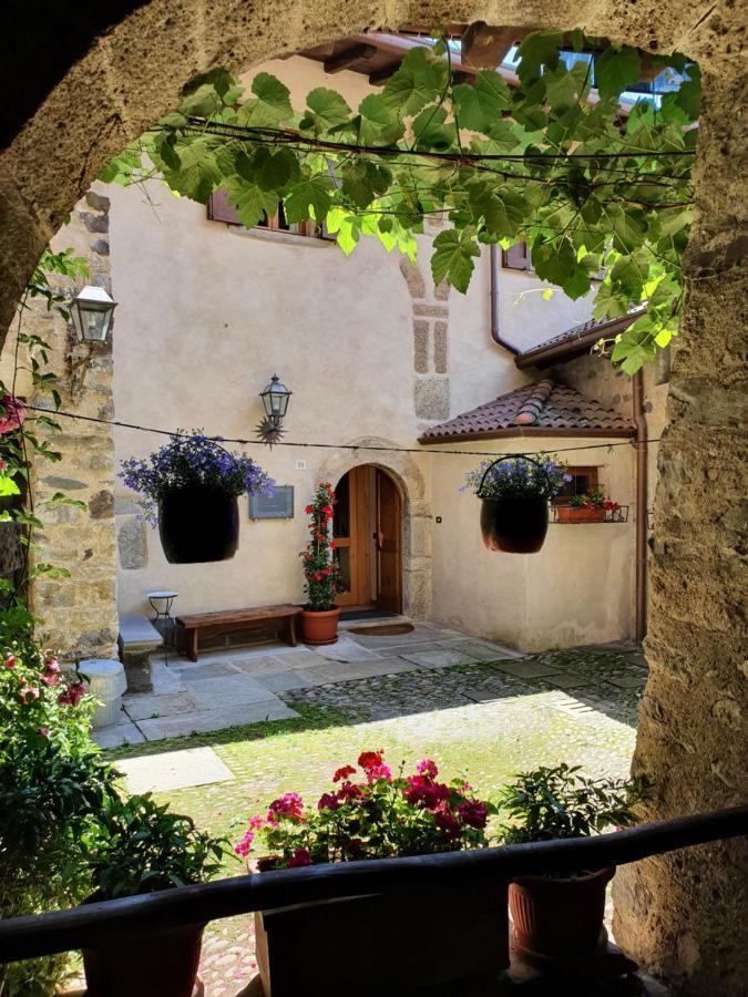 La Tana Del Tasso Rooms&Breakfast Camerata Cornello Dış mekan fotoğraf